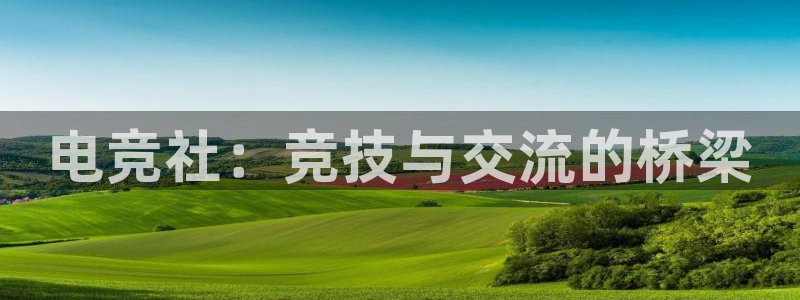 ob电竞网站：电竞社：竞技与交流的桥梁