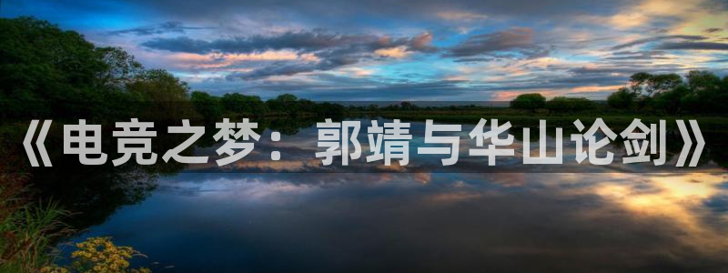 ob电竞俱乐部：《电竞之梦：郭靖与华山论剑》