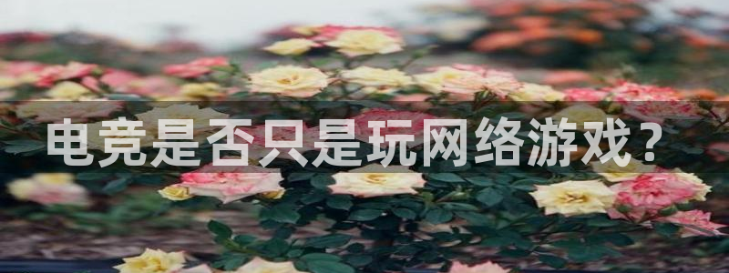 ob电竞平台：电竞是否只是玩网络游戏？
