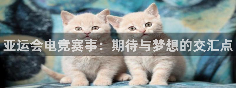 ob电竞官网：亚运会电竞赛事：期待与梦想的交汇点