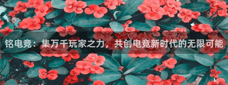 ob电竞网站：铭电竞：集万千玩家之力，共创电竞新时代的无限可能