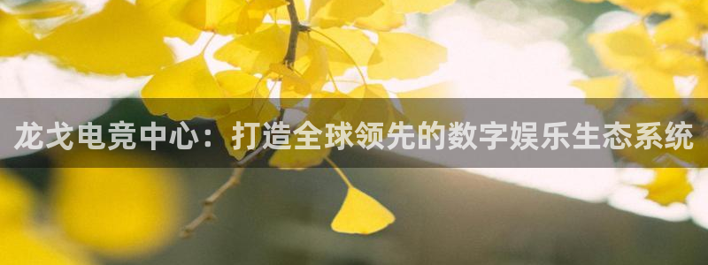 ob电竞俱乐部：龙戈电竞中心：打造全球领先的数字娱乐生态系统